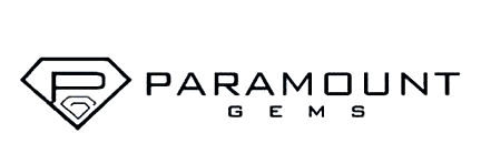 paramount-AgreementPage-logo